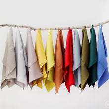 Load image into Gallery viewer, Linen Tea Towel - Softened Kitchen Dishcloth