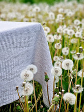 Laden Sie das Bild in den Galerie-Viewer, Striped Linen Tablecloth - Rectangle Square Round - Washed 100% Linen Fabric